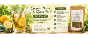 Thé glacé Citron, Thym et Romarin, l'infusion rafraîchissante qui prend soin de vous tout l'été